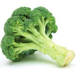 Brócoli
